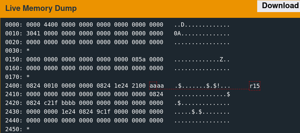 Junk username data in memory.